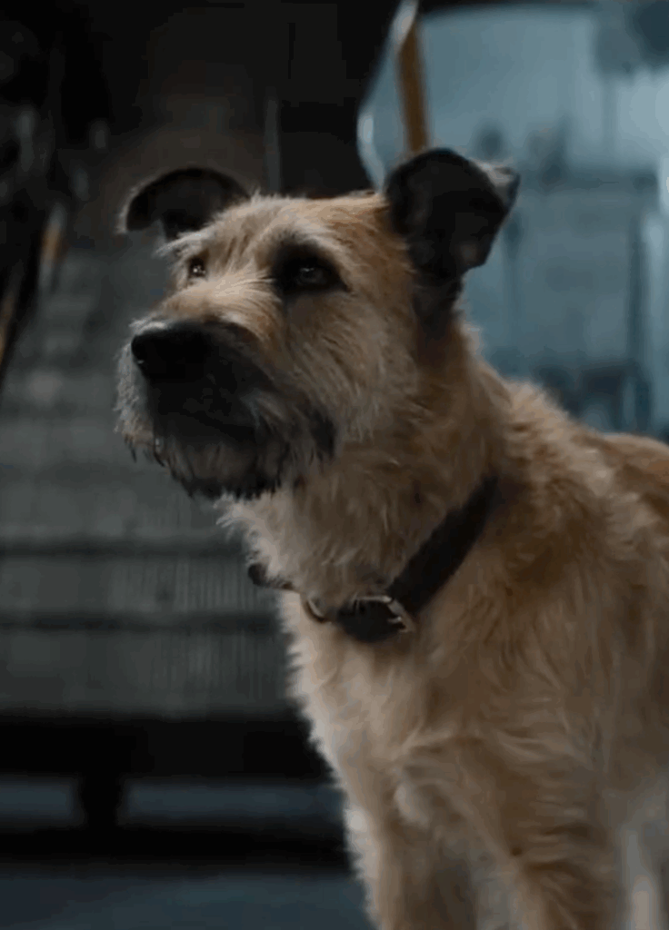 Finch movie 2021